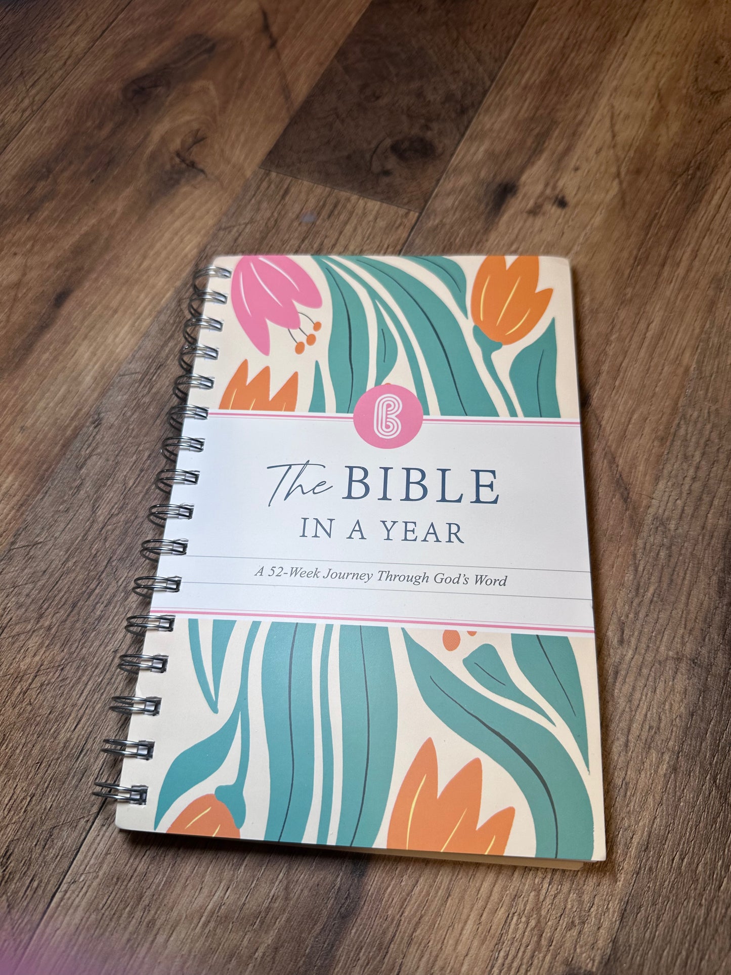 The Bible in a YEAR