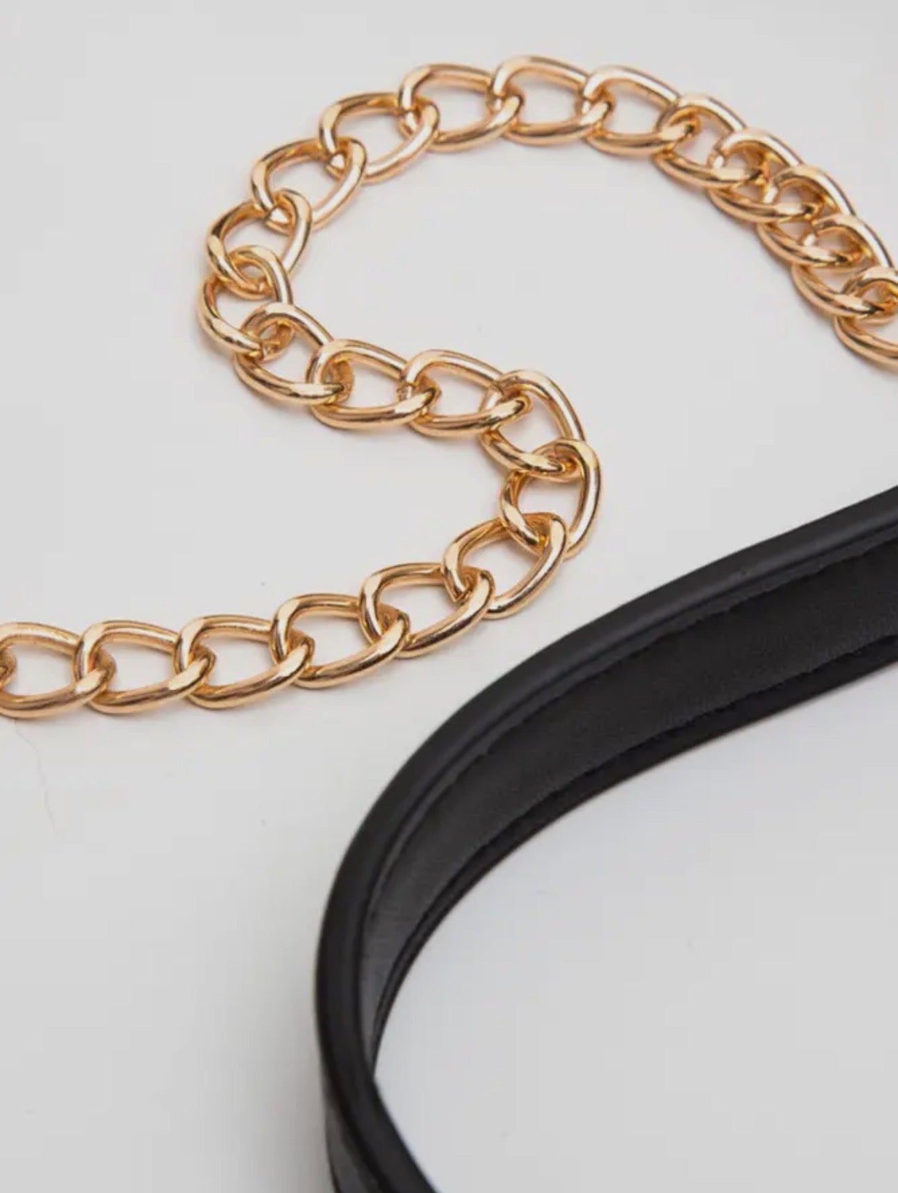 Clear Crossbody Bags / Removable Gold Crossbody Chain