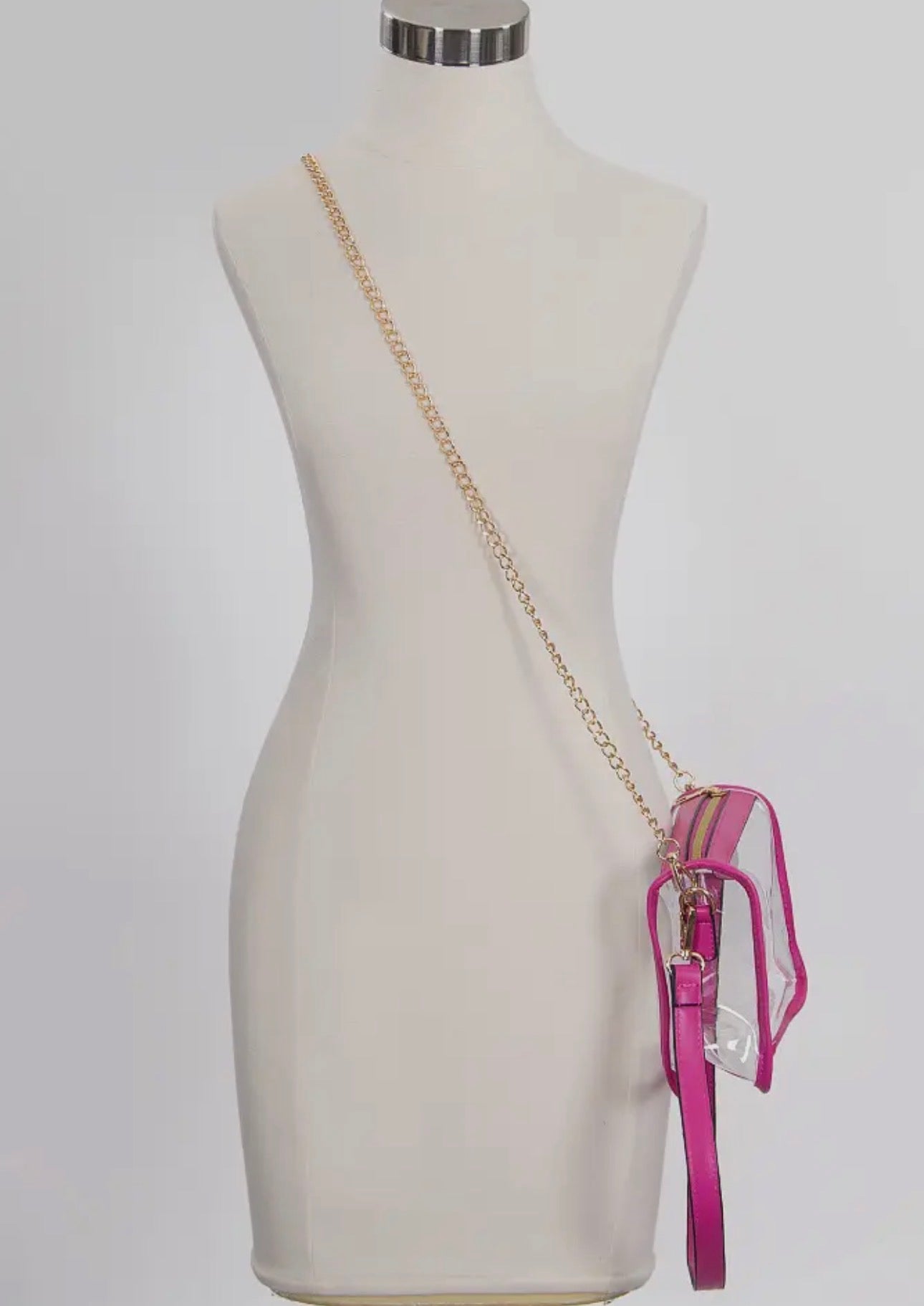 Clear Crossbody Bags / Removable Gold Crossbody Chain